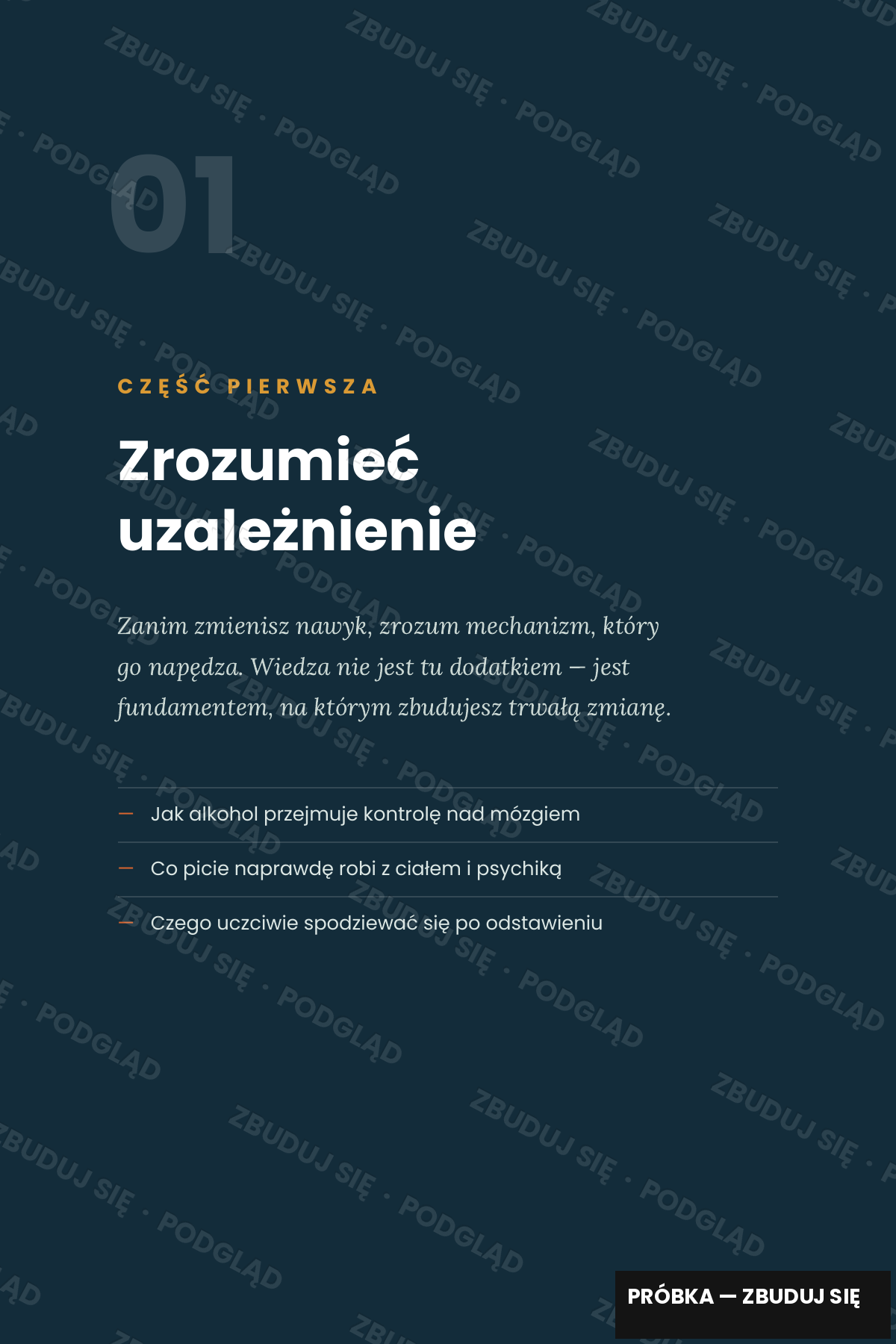 Jak Rzucić Nałóg Alkoholowy – Twój Plan, Motywacja + Aplikacja do śledzenia postępów
